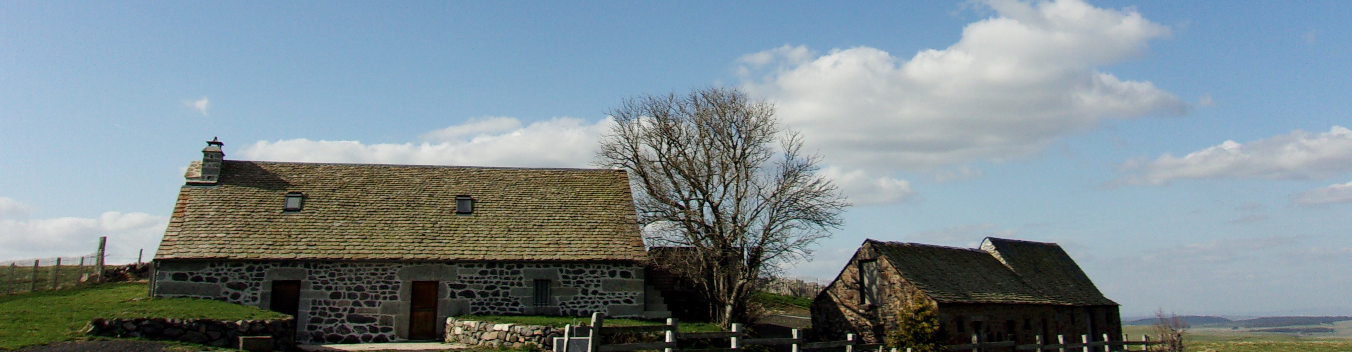 Aubrac Laguiole